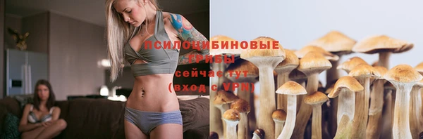 мескалин Надым