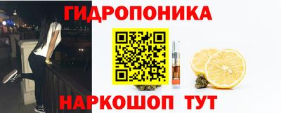 прущие грибы Аргун