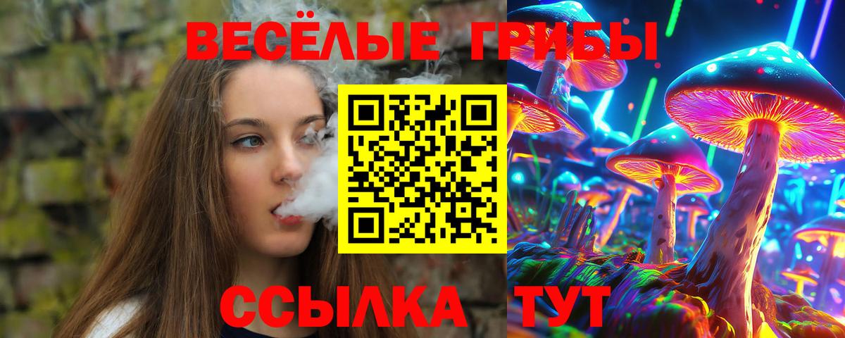 Балашиха  Галлюциногенные грибы Psilocybine cubensis  Вход с VPN 