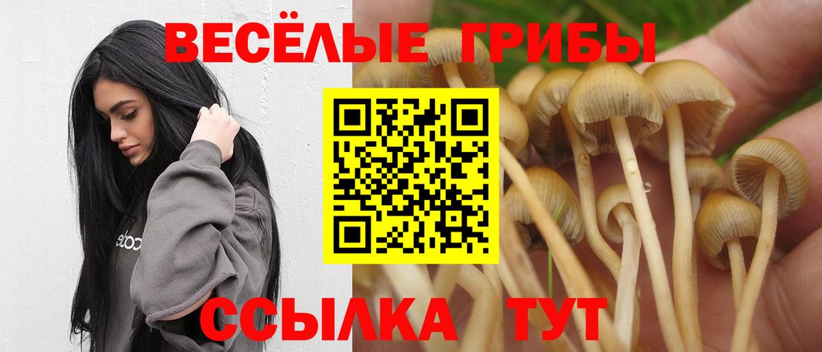 Галлюциногенные грибы Psilocybine cubensis  Галлюциногенные грибы Cubensis  Балашиха 